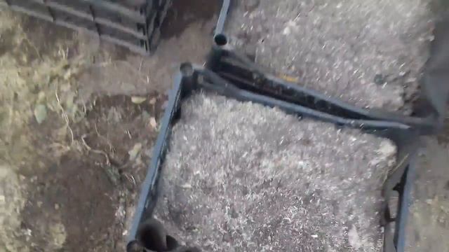 Лук на зелень в ящиках смотреть онлайн