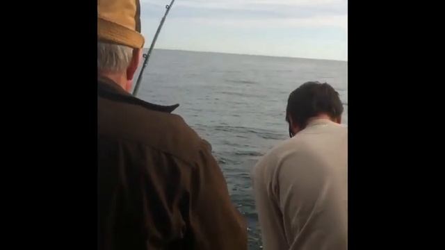 Lake Michigan Salmon Fishing