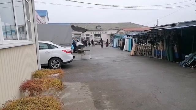 Растишки и пёсик - привереда. Непреодолимые обстоятельства. Но всё кончилось хорошо. смотреть онлайн