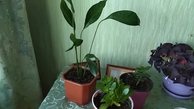 Секонд хенд / за КОПЕЙКИ /простынь купила / смотреть онлайн