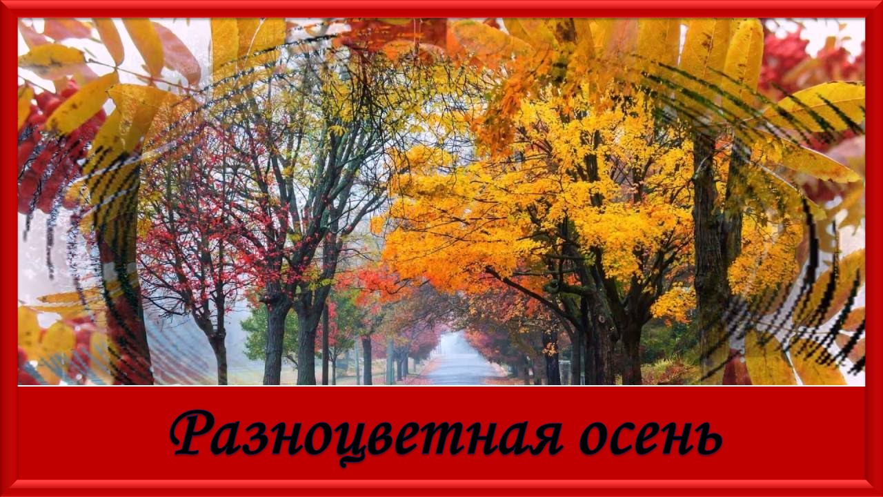 Разноцветная осень. Красивая песня про осень