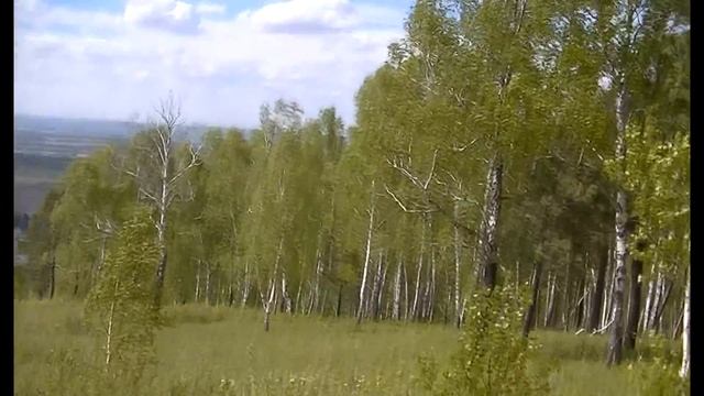 Timelapse - как снять таймлапс и что это такое смотреть онлайн