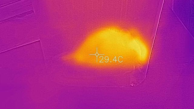 Мышь через тепловизор. Mouse in thermal imager. смотреть онлайн