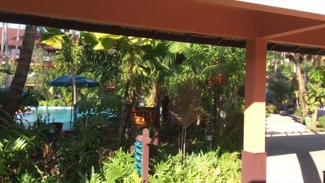 Patong Merlin Hotel Patong Beach Phuket Travel Video