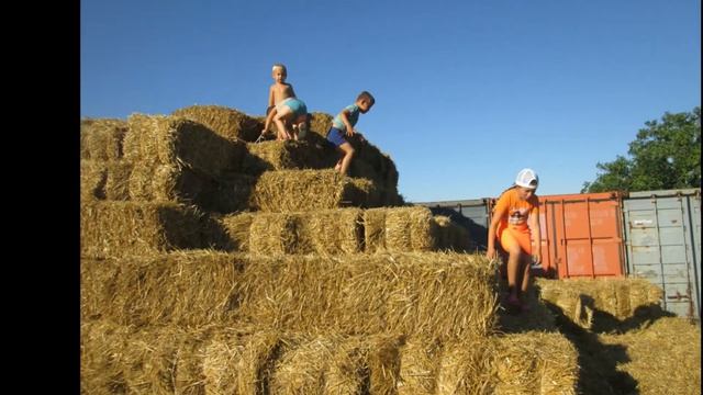 Тюки соломы. Скирда