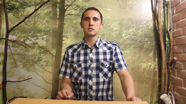 Теорика. Выпуск № 8. Принципы методологии познания. Часть 4 смотреть онлайн