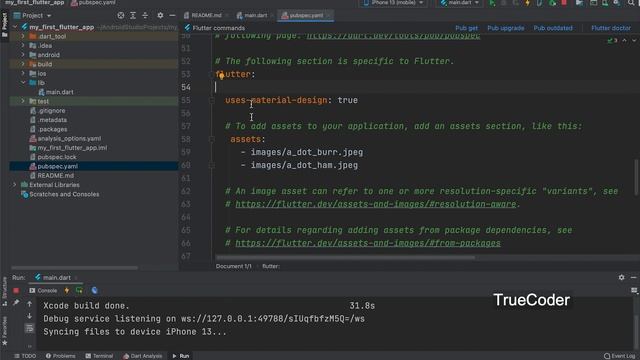 How to load image from assets folder in flutter | Android Studio | Flutter Tutorial | Part 5 смотреть онлайн