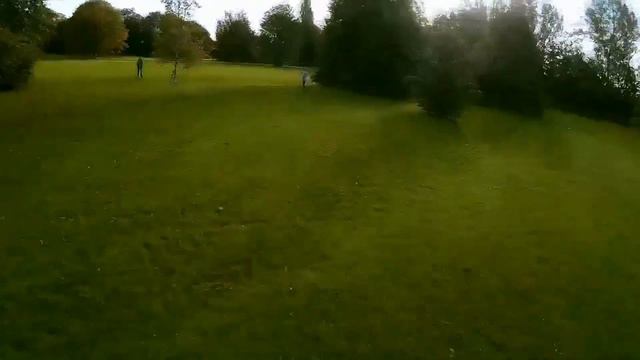 WALKERA RUNNER 250 PRO - RACING DRONE смотреть онлайн
