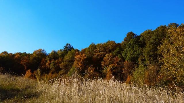 Panasonic Lumix DMC-FZ38 Part 1.mpg смотреть онлайн