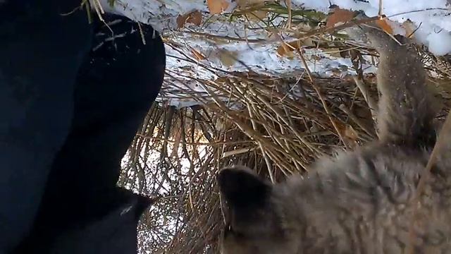 Спасения 4 смотреть онлайн