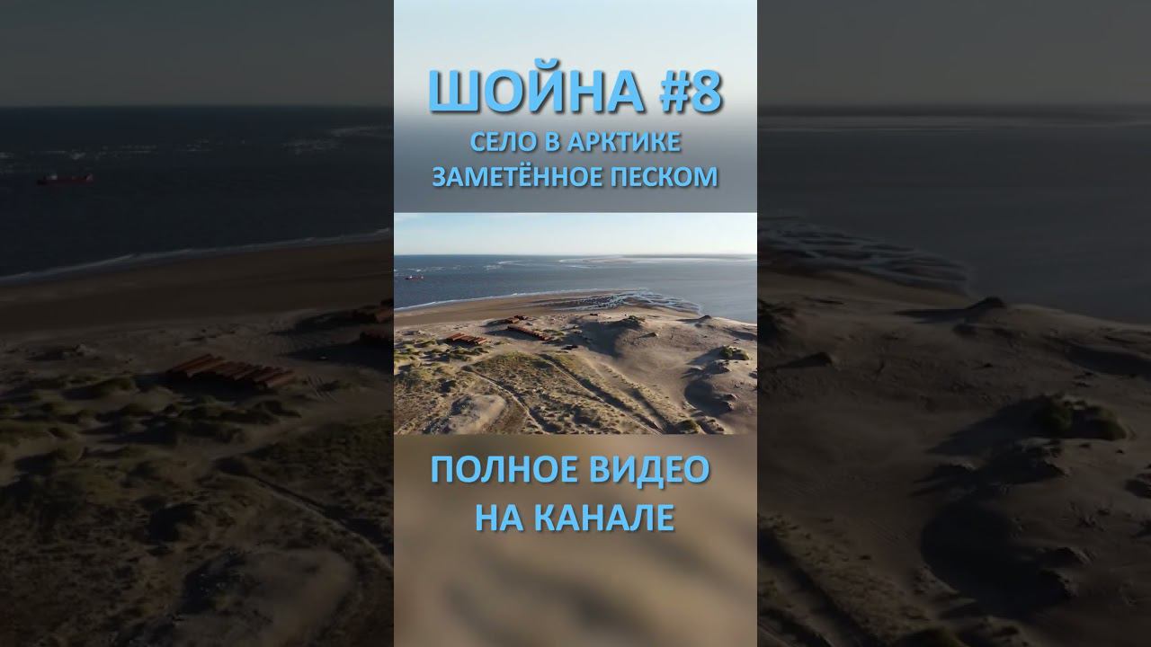 ШОЙНА SHOYNA 8 SHORTS #SHORTS смотреть онлайн