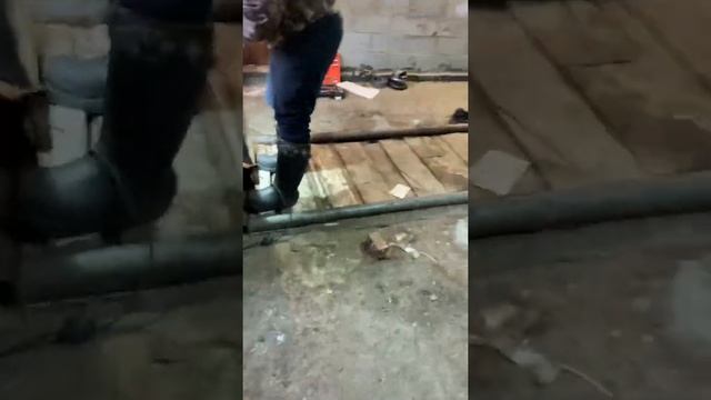 Не работает охлаждение тайга патруль swt551