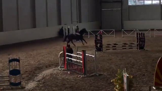 Могунов Данила на лошади Арбенин. 80 см смотреть онлайн