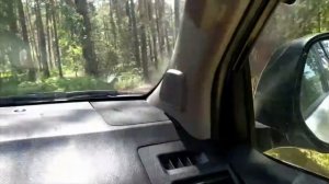 Озеро Синара 2021. Челябинская область