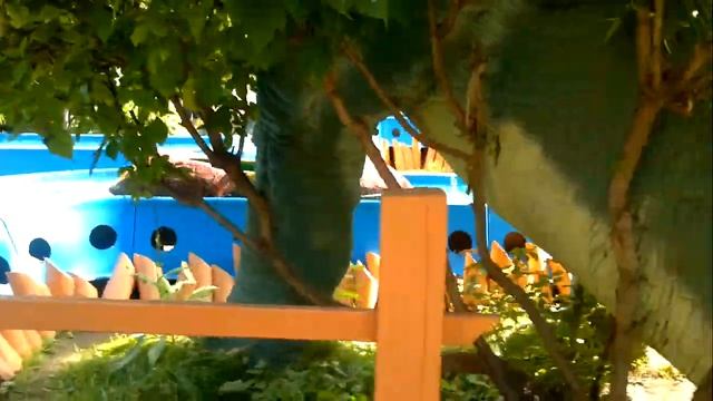 куда пойти в новосибирске   ?катаемся на лодке в зоопарке .пингвинарий  .дельфинарий