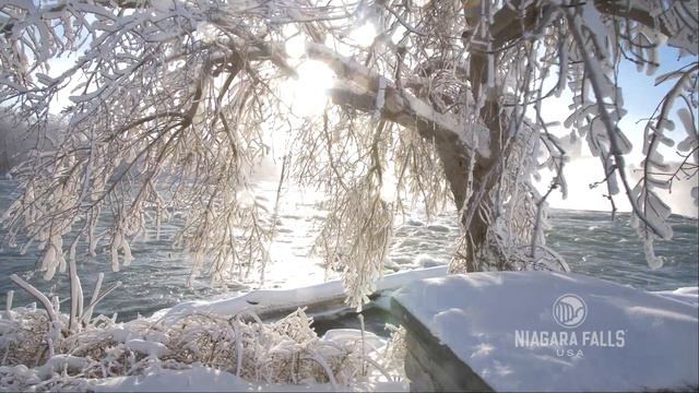 Niagara Falls USA Frozen Falls Winter 2018 смотреть онлайн