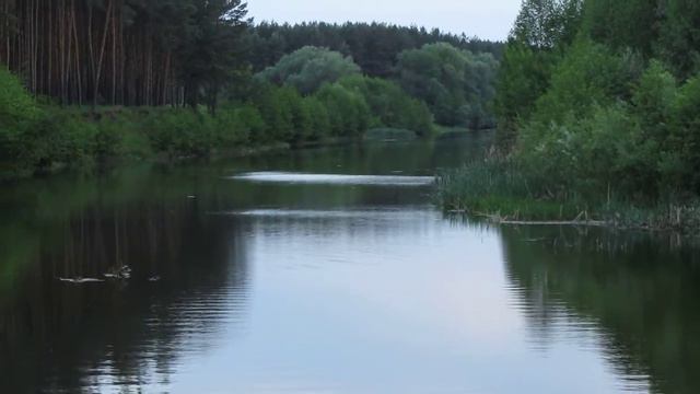 Изображение 132.MOV смотреть онлайн