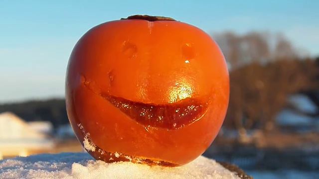 С НОВЫМ ГОДОМ Света от Хурмы