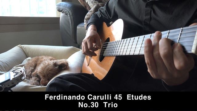 Ferdinando Carulli 45 Etudes, No.30 Scherzo Allegro / Trio смотреть онлайн