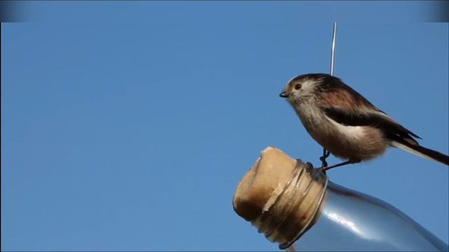 Әдебиеттік оқу 4- сынып 58- сабақ Табиғатты зерттейміз.