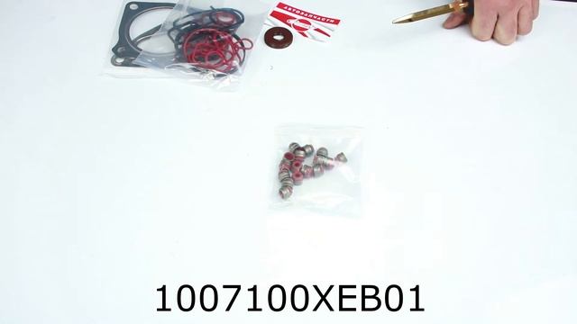 GW4C20 (2L) Turbo GDI ремкомплект двигателя HAVAL H8,H9,F7,F7X