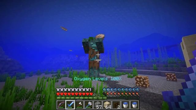 I Beat the Wither, but Could Only BREATHE UNDERWATER?! (Part 6) смотреть онлайн