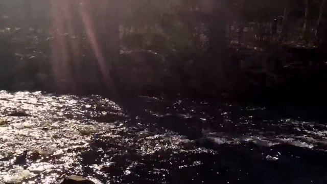 Nature Simulation смотреть онлайн