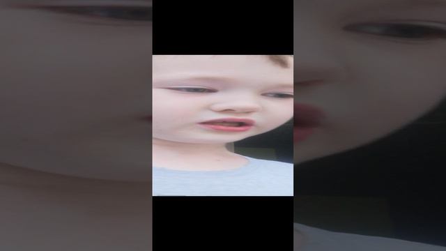 VID_20240815_190215.mp4