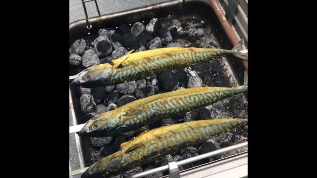 Как приготовить вкуснейшую рыбу на гриле смотреть онлайн