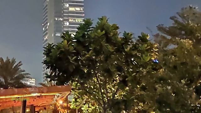 Xiaomi Mi 9: GCam vs MIUI Camera смотреть онлайн