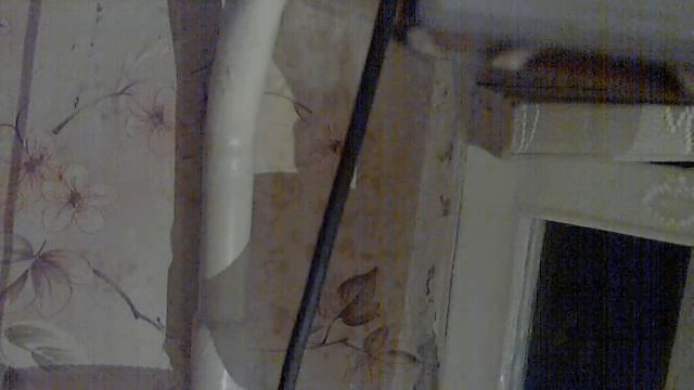 Видео с веб-камеры. Дата: 13 августа 2014 г., 3:57.