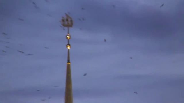 дворцовая площадь 2 смотреть онлайн