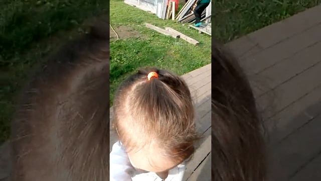 Дача бача смотреть онлайн