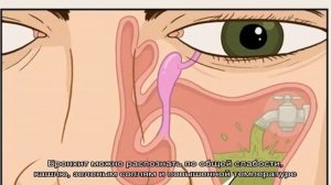 Почему сопли зеленые?