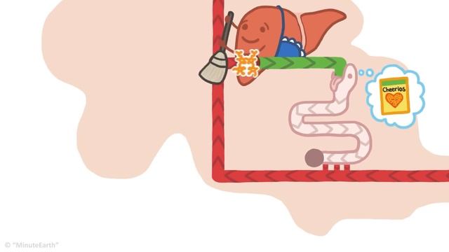 Чому кал коричневий, а се́ча жовта? [MinuteEarth] смотреть онлайн