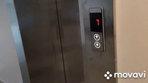 Пицунда. Отель Литфонд. первый день. Есть охота.