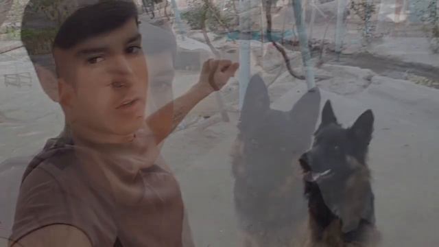 Саг чанг афчарки смотреть онлайн