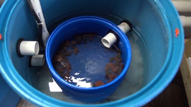#525: Upgrading 55 Gallon Mechanical Aquarium Filter - DIY Wednesday смотреть онлайн