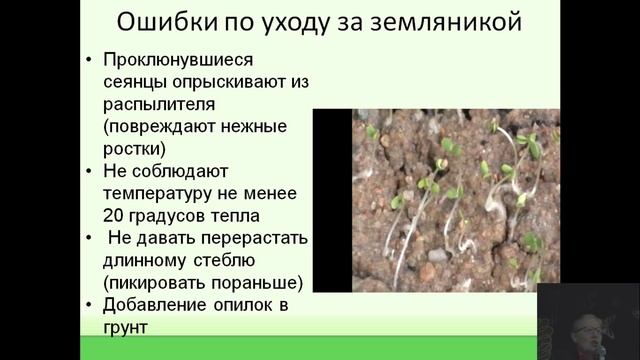 Семинар: Выращивание земляники из семян смотреть онлайн