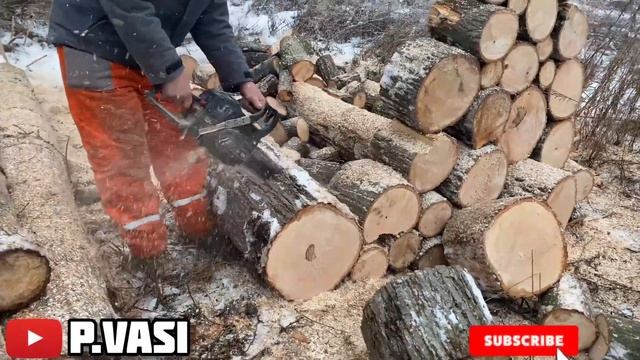 DRUJBĂ IN ACȚIUNE 2022 смотреть онлайн