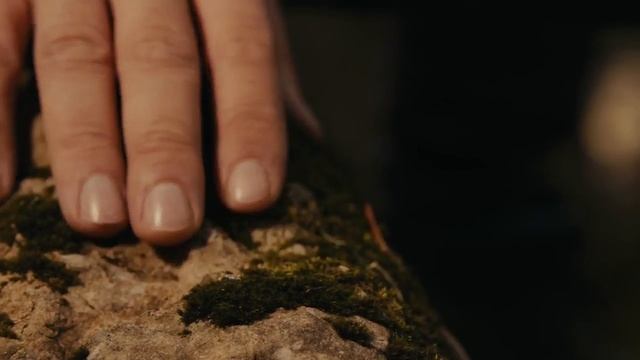 Ты испарилась из меня