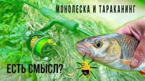 Монолеска и Тараканинг. Есть смысл?