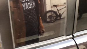 Обзор Рендж Ровер 5,0 SC 2010