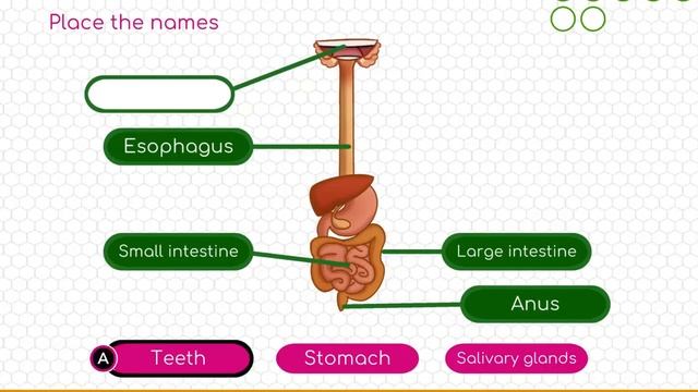 ?BodyQuest - Trailer - Nintendo Switch - iOS - Android? смотреть онлайн