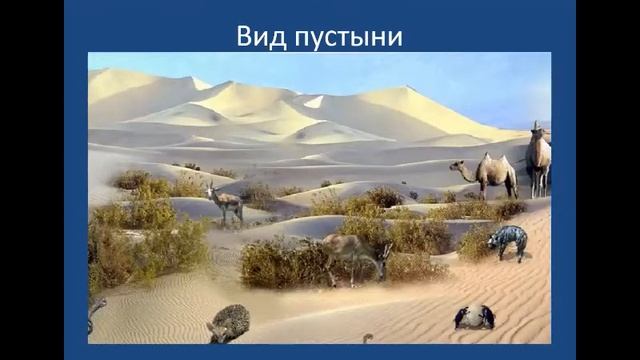 Растительный и животный мир Земли смотреть онлайн
