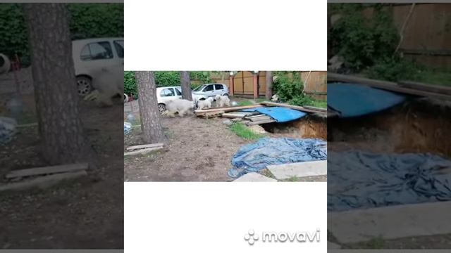 15 июня 2020 г. смотреть онлайн
