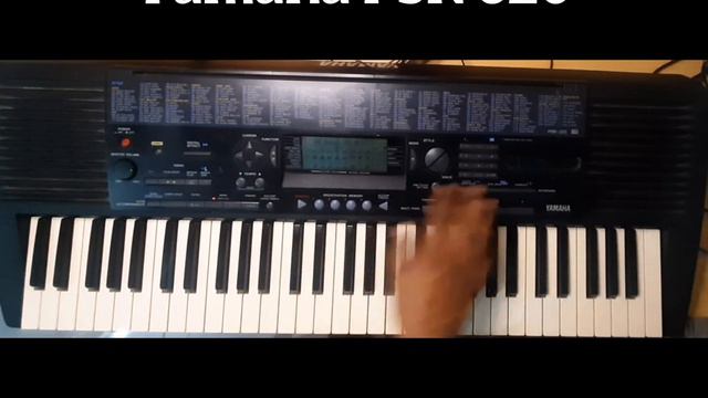 Yamaha PSR 320 | Yamaha PSR 320 Styles | Yamaha PSR