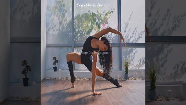 Paradise Like Koto Solo - Vibe For Ashtanga Yoga