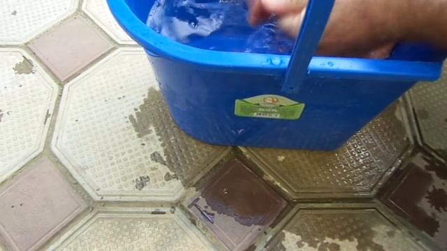 Кормим Кои правильно. смотреть онлайн