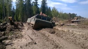 ДТ30 витязь в тайге по бездорожью